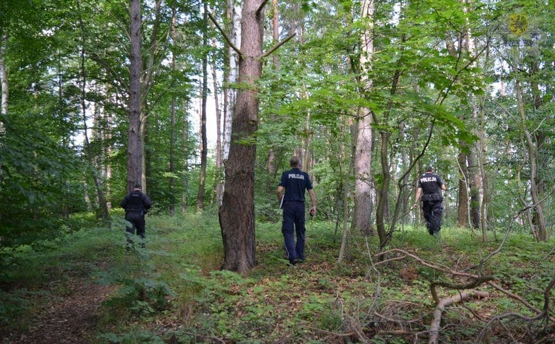 SZCZĘŚLIWY FINAŁ POSZUKIWAŃ 71-LETNIEGO GRZYBIARZA, KTÓRY SPĘDZIŁ NOC W LESIE 1 1 248186 E1571398652802