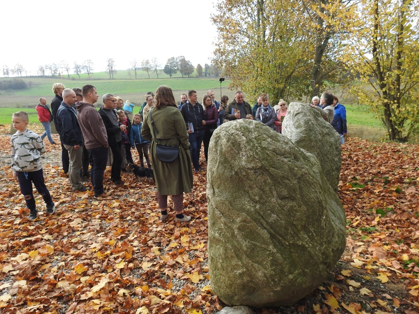 49Bb2Aa833Cb7Fda7Df940E20A15A63F