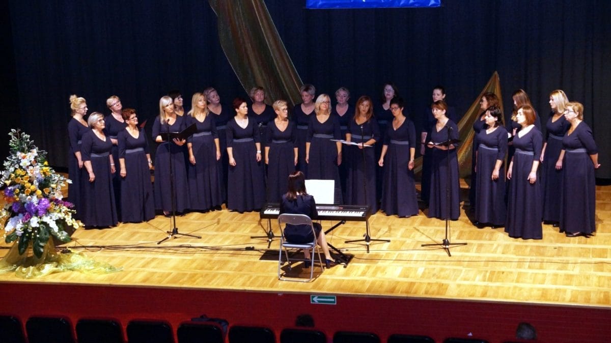 Dsc01355 E1570003813408