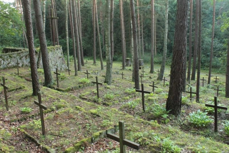 Article 1 2 E1572435675708