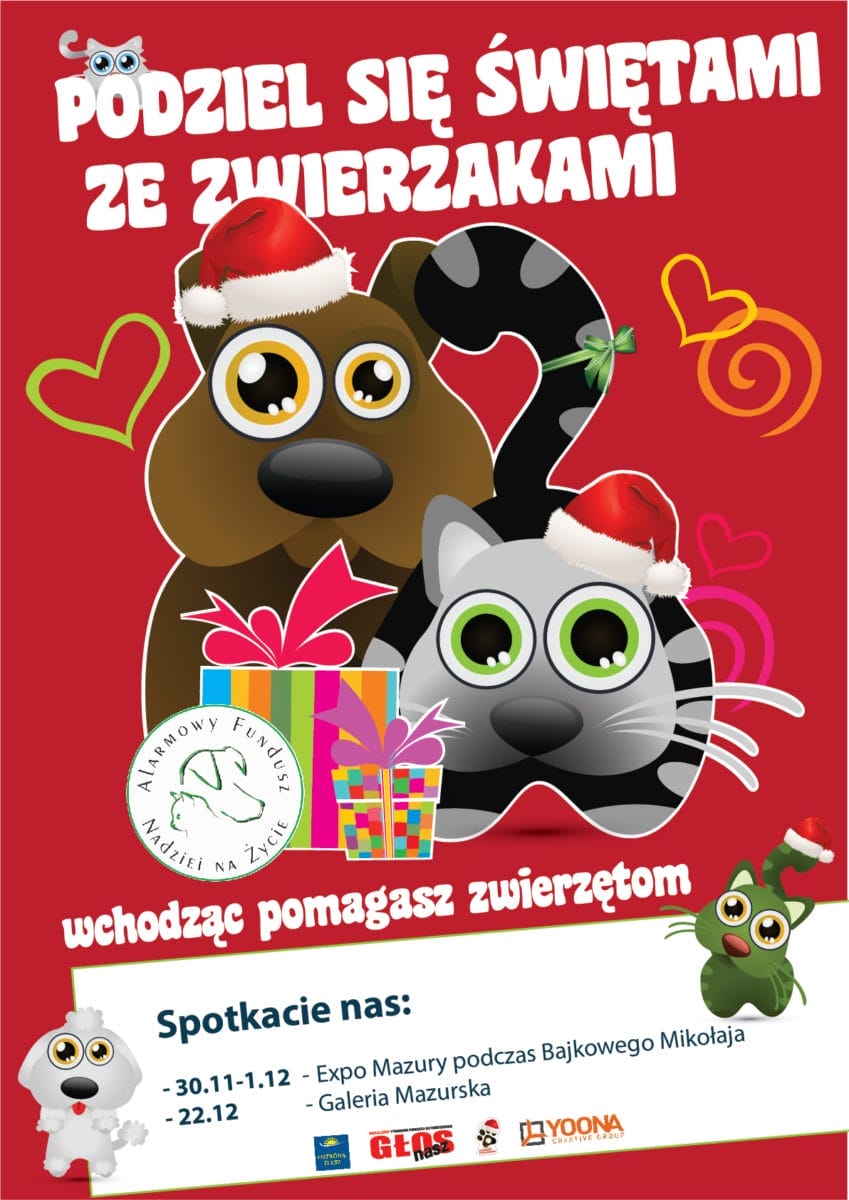 PODZIEL SIĘ ŚWIĘTAMI ZE ZWIERZAKAMI! 1 Główne 1