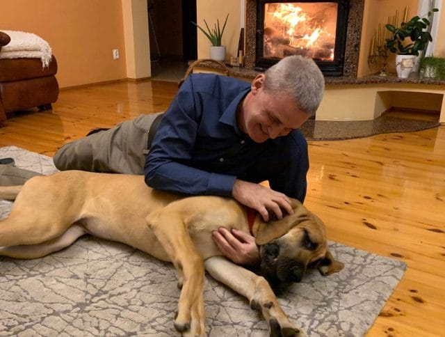 PIES CZY KOT TO NIE ZABAWKA - NIE KUPUJ GO NA PREZENT! 3 79003716 429971744621706 8735144507110064128 O