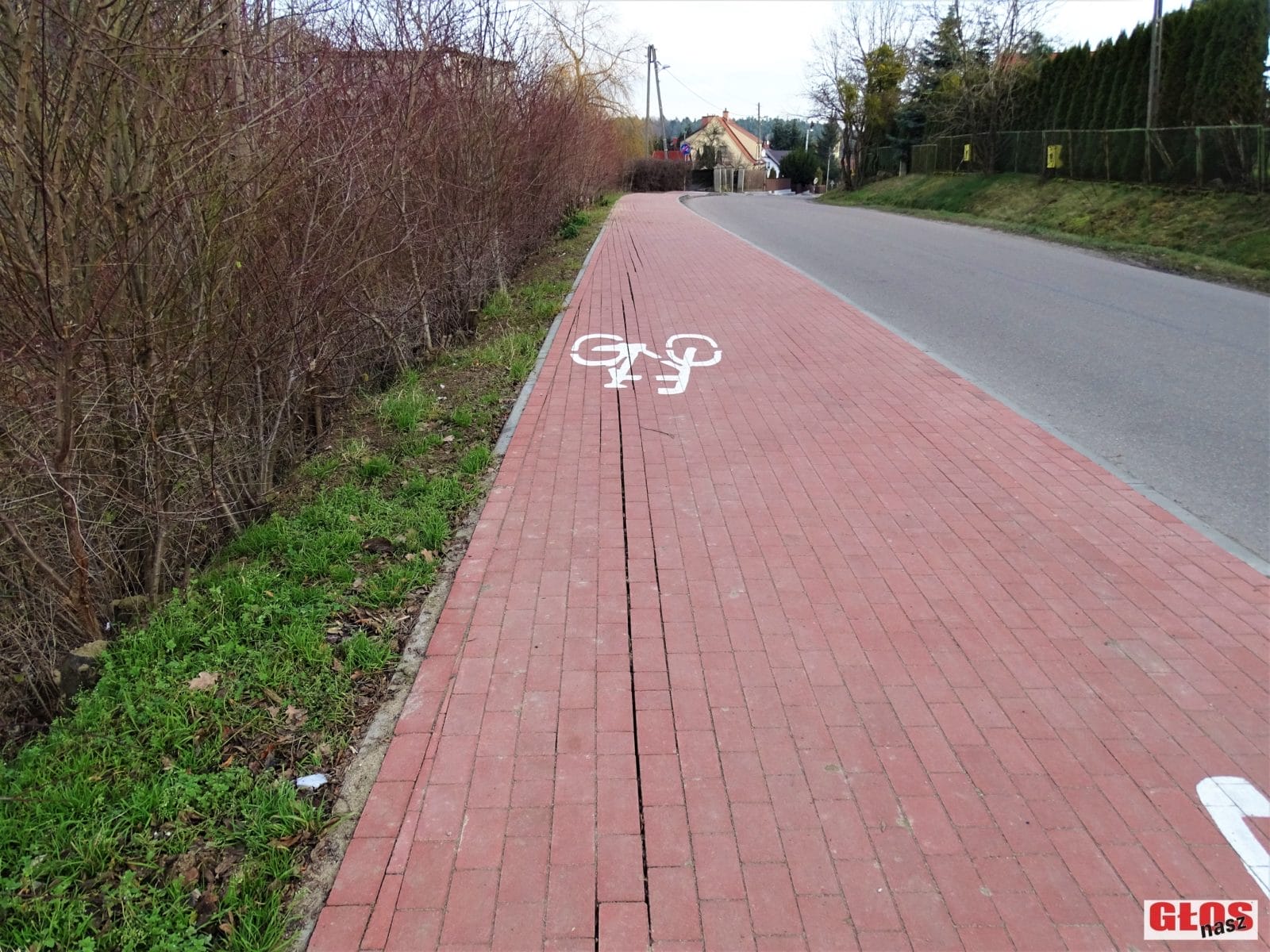 WRACAMY DO TEMATU: BĘDZIE REMONT FRAGMENTU ŚCIEŻKI ROWEROWEJ KAJKOWO - SZAFRANKI 1 Dsc05490