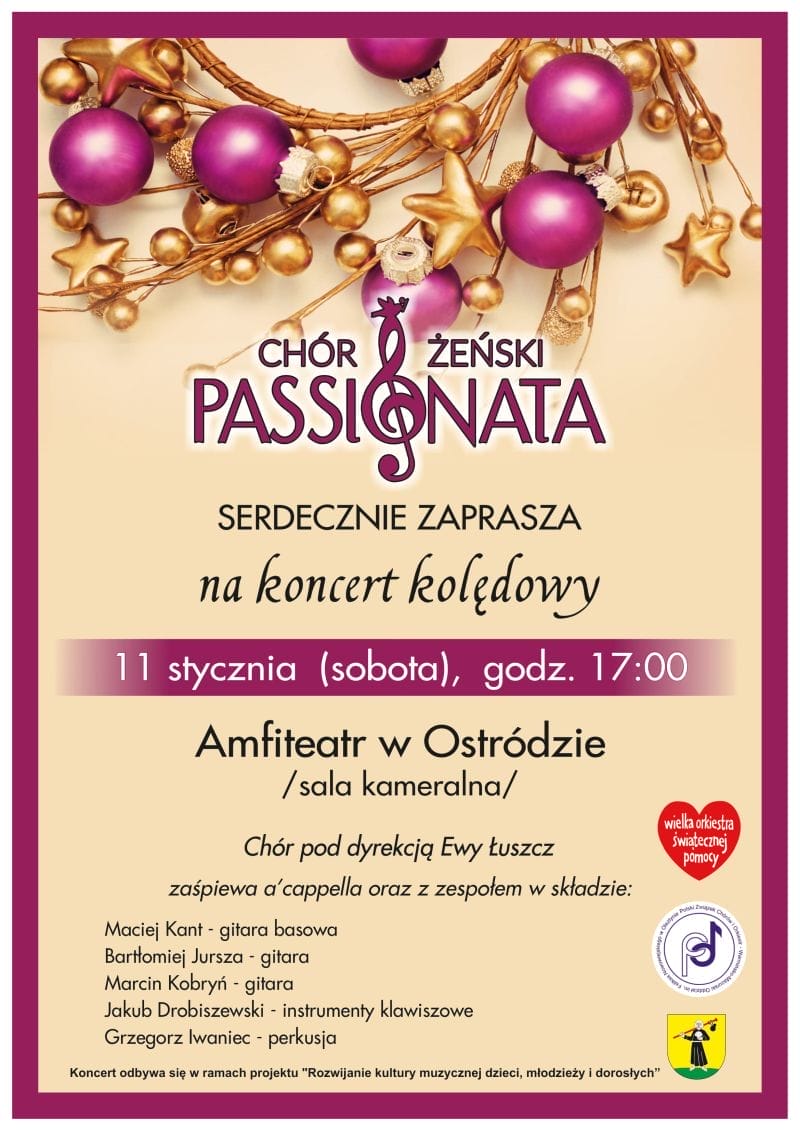 WOŚP 2020 W OSTRÓDZIE - PRZEGLĄD WYDARZEŃ 2 Passionata Amfiteatr 11Stycznia Plakat