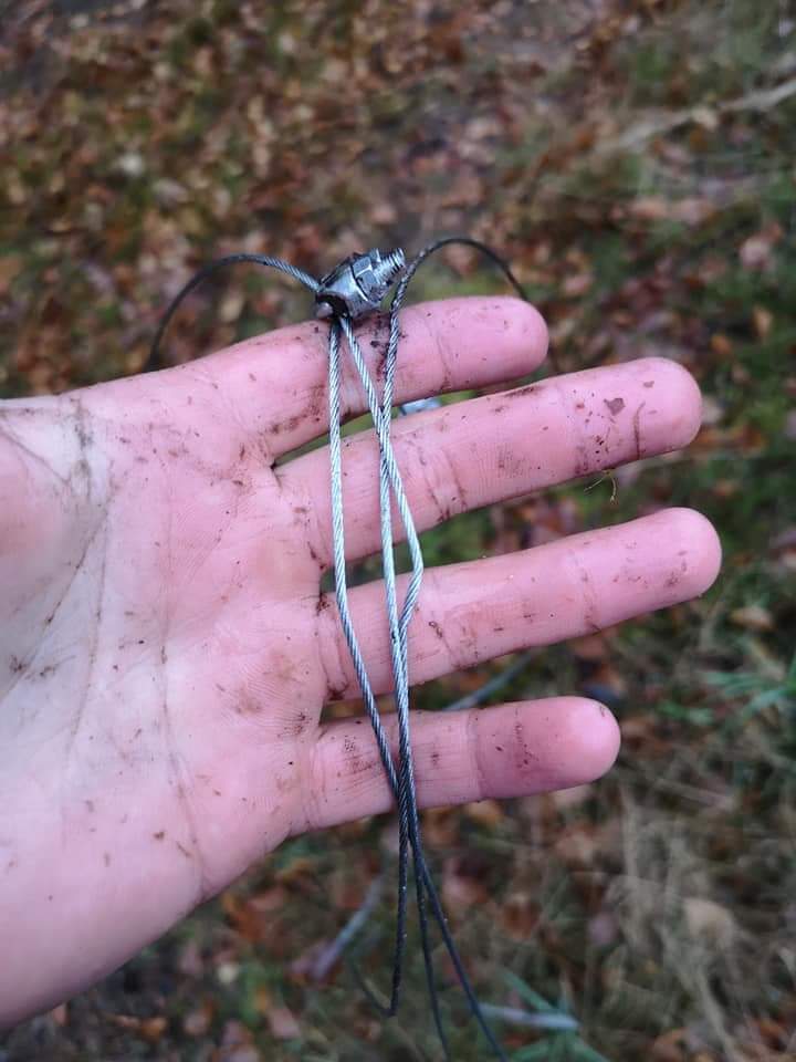 PUŁAPKA W LESIE: STALOWA LINKA ROZCIĄGNIĘTA MIĘDZY DRZEWAMI 3 Article 17