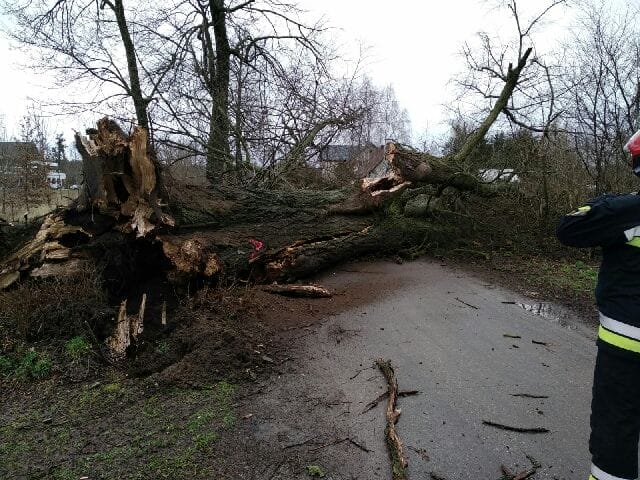 SILNY WIATR I MNÓSTWO STRAŻACKICH INTERWENCJI W POWIECIE 1 Img 20200313 Wa0008