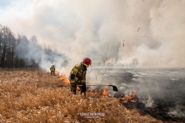 OSTRÓDZCY STRAŻACY WALCZĄ Z POŻAREM W BIEBRZAŃSKIM PARKU NARODOWYM 4 IMG 7141