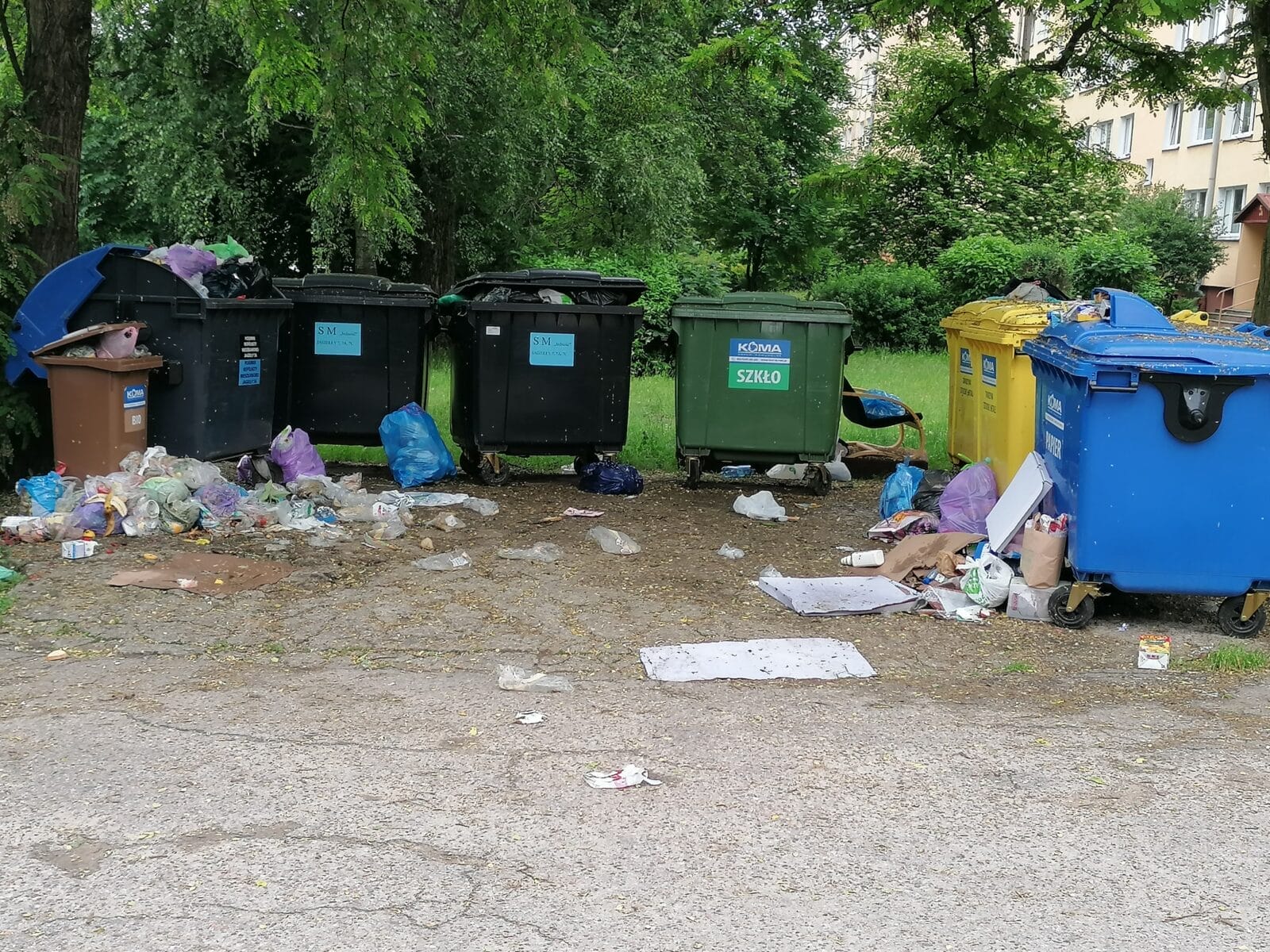 ZALEGAJĄCE ŚMIECI PRZY UL. JAGIEŁŁY I NIE TYLKO - MIESZKAŃCY PROSZĄ O INTERWENCJĘ 1 105797498 218020395852979 5113672001681024259 N