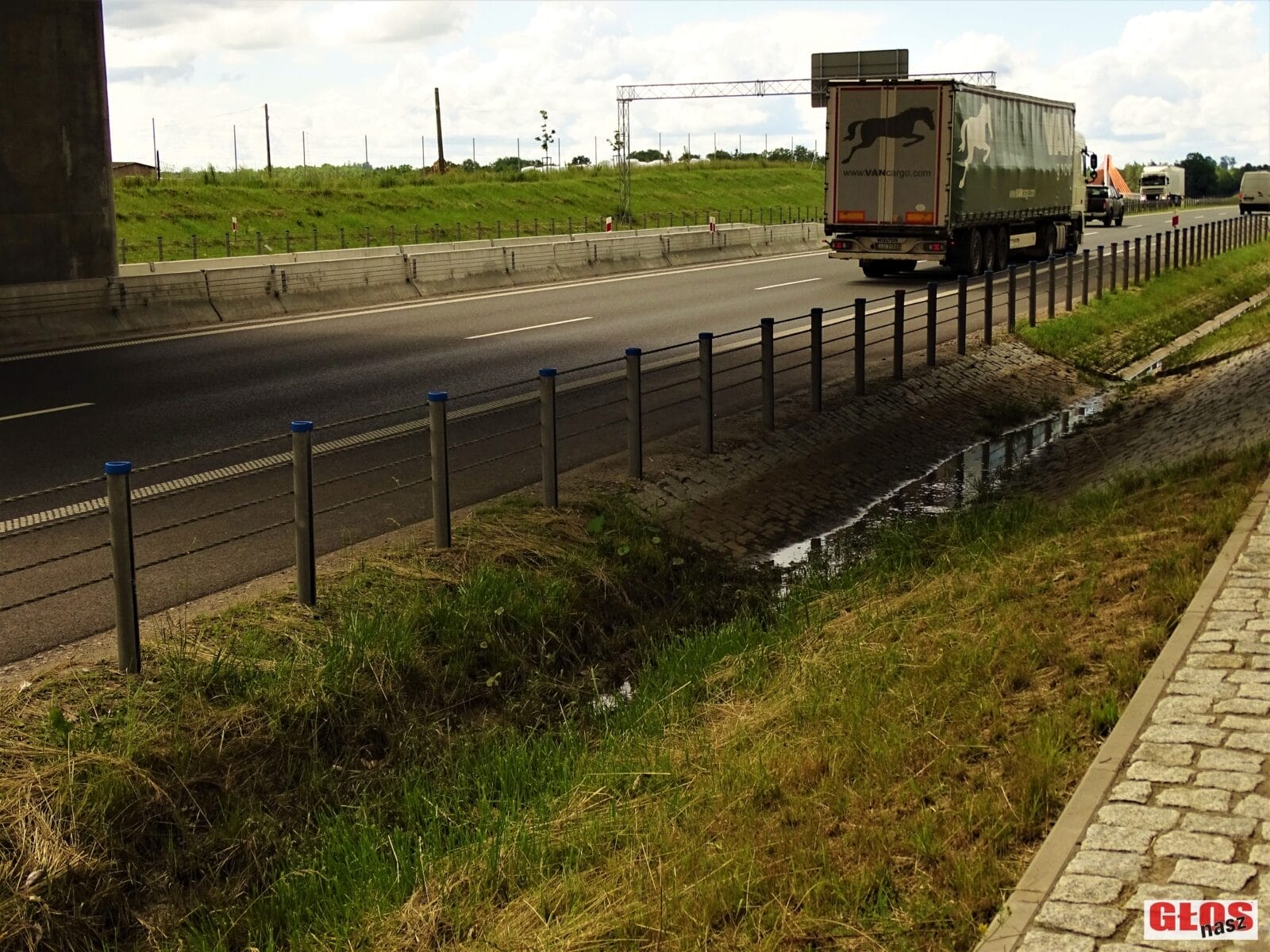 MNÓSTWO ŚNIĘTYCH RYB OBOK KRAJOWEJ 16 W KAJKOWIE. SKĄD TAM SIĘ WZIĘŁY? 11 Dsc00023