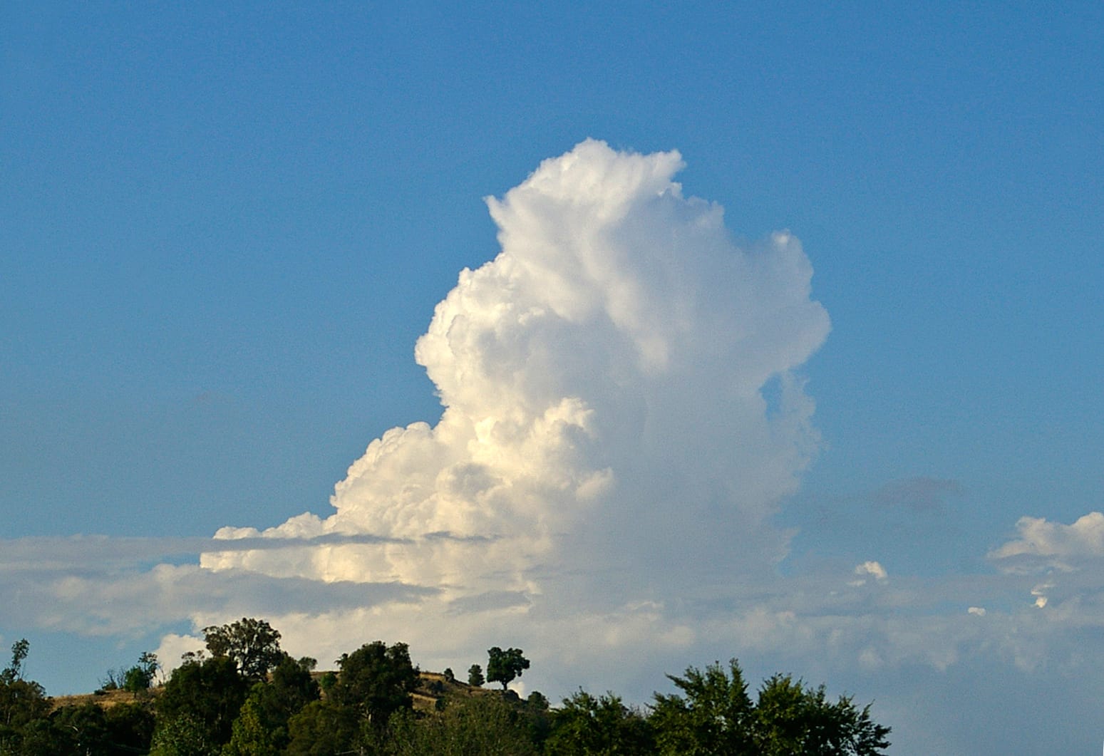 Cumulus Congestus