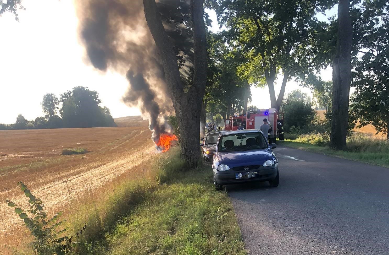 GM. MIŁOMŁYN: SAMOCHÓD UDERZYŁ W DRZEWO I SPŁONĄŁ. NIEPRZYTOMNY KIEROWCA W SZPITALU (VIDEO) 1 117543007 616799349209330 992838675031555787 N