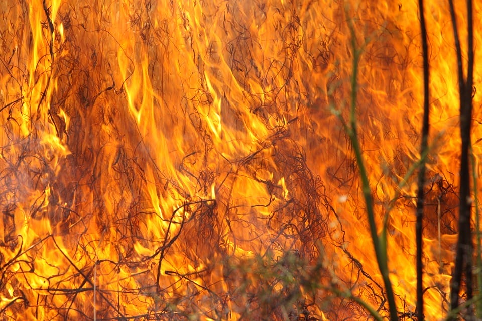 DWA POŻARY W TYM SAMYM CZASIE: PEUGEOTA NA S-7 KOŁO MIŁOMŁYNA ORAZ RŻYSKA W TURZNICY 1 Burning Grass 1165823 960 720