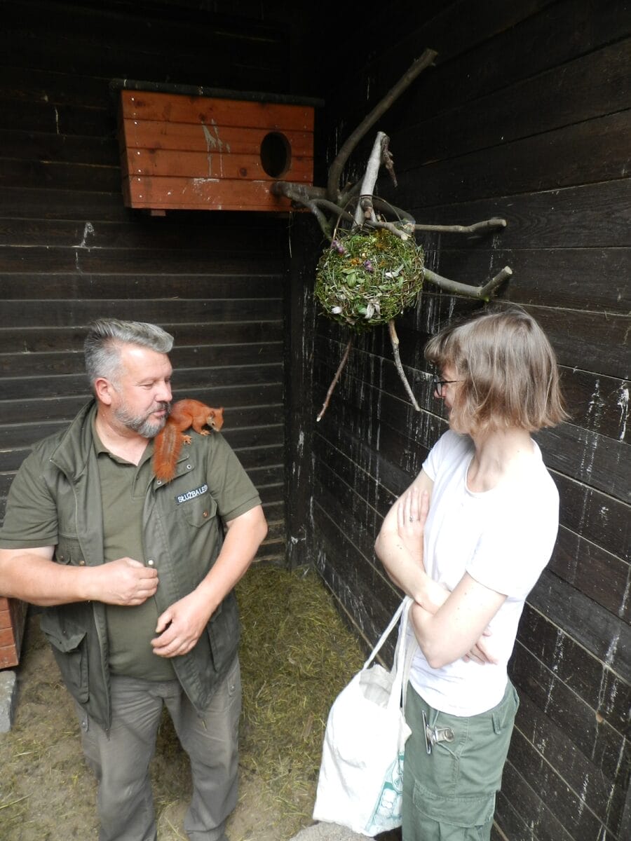 ROŚNIE LICZBA PACJENTÓW W OŚRODKU REHABILITACJI ZWIERZĄT W NAPROMKU 3 Image Gallery 5