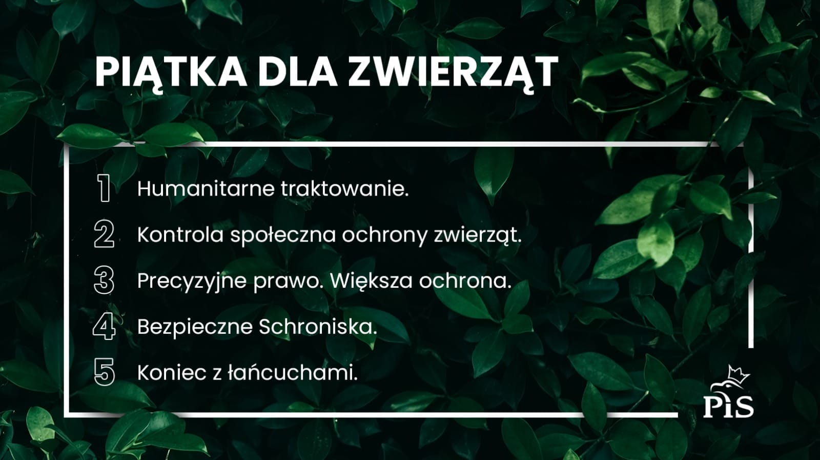 PIĄTKA DLA ZWIERZĄT: KONIEC Z ŁAŃCUCHAMI, ZAKAZ HODOWLI NA FUTRA I WIELE INNYCH ROZWIĄZAŃ! 2 5F57677A5Cba7