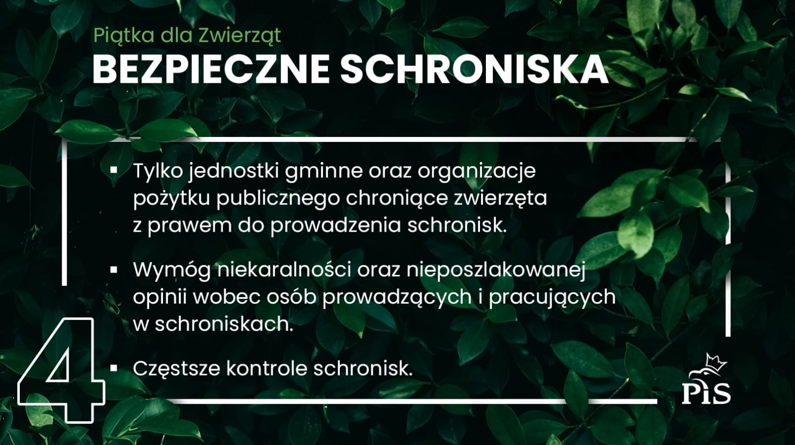 PIĄTKA DLA ZWIERZĄT: KONIEC Z ŁAŃCUCHAMI, ZAKAZ HODOWLI NA FUTRA I WIELE INNYCH ROZWIĄZAŃ! 6 5F5767F24812A