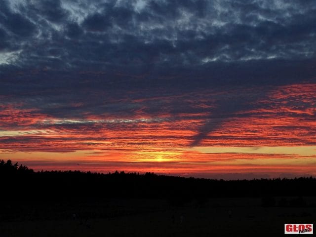 NIEZWYKŁY CHARYTATYWNY "KONCERT NA ŁĄCE" W OSTROWINIE (GM. OSTRÓDA) DLA TYMKA (FOTO+VIDEO) 9 Dsc02351