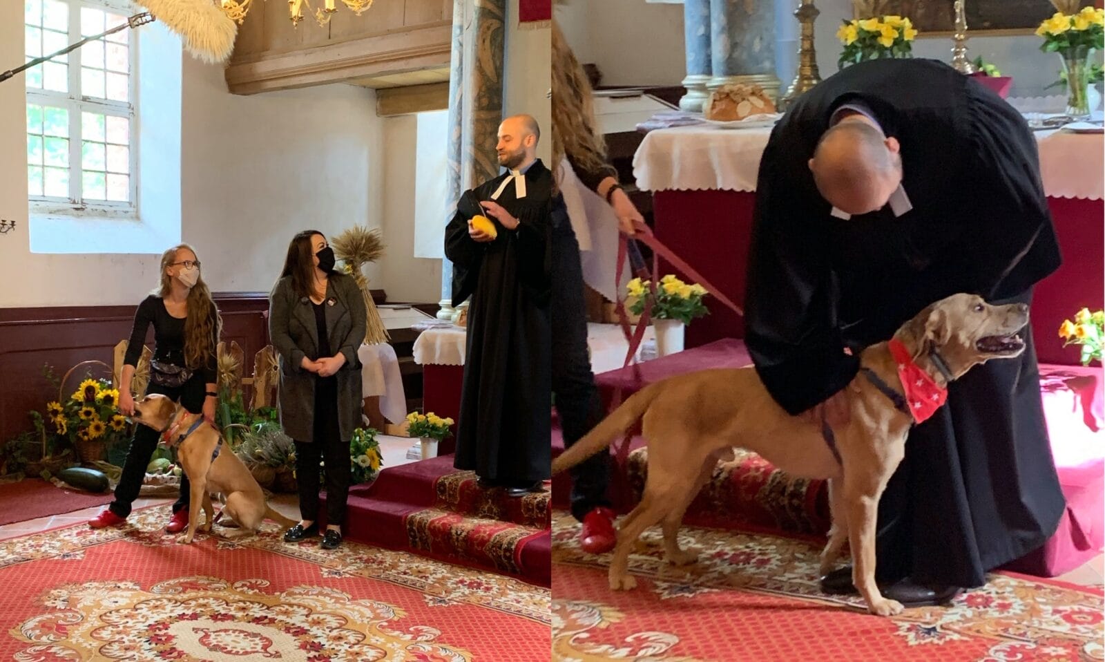 PSY W KOŚCIELE W ŁĘGUTACH - NIEZWYKŁA AKCJA KSIĘDZA WOJCIECHA PŁOSZKA 29 slijder psy