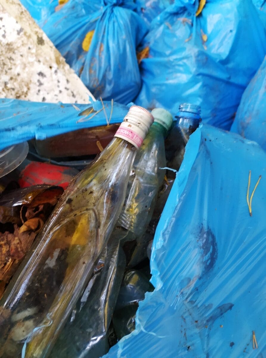 122530123 685194262109747 4966049235987325842 N