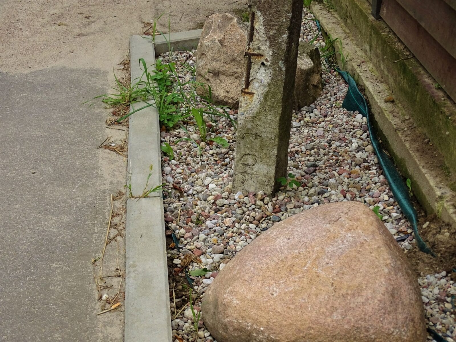 KAMIENIE NIEZGODY W SZCZEPANKOWIE (GMINA GRUNWALD) 11 Dsc02461