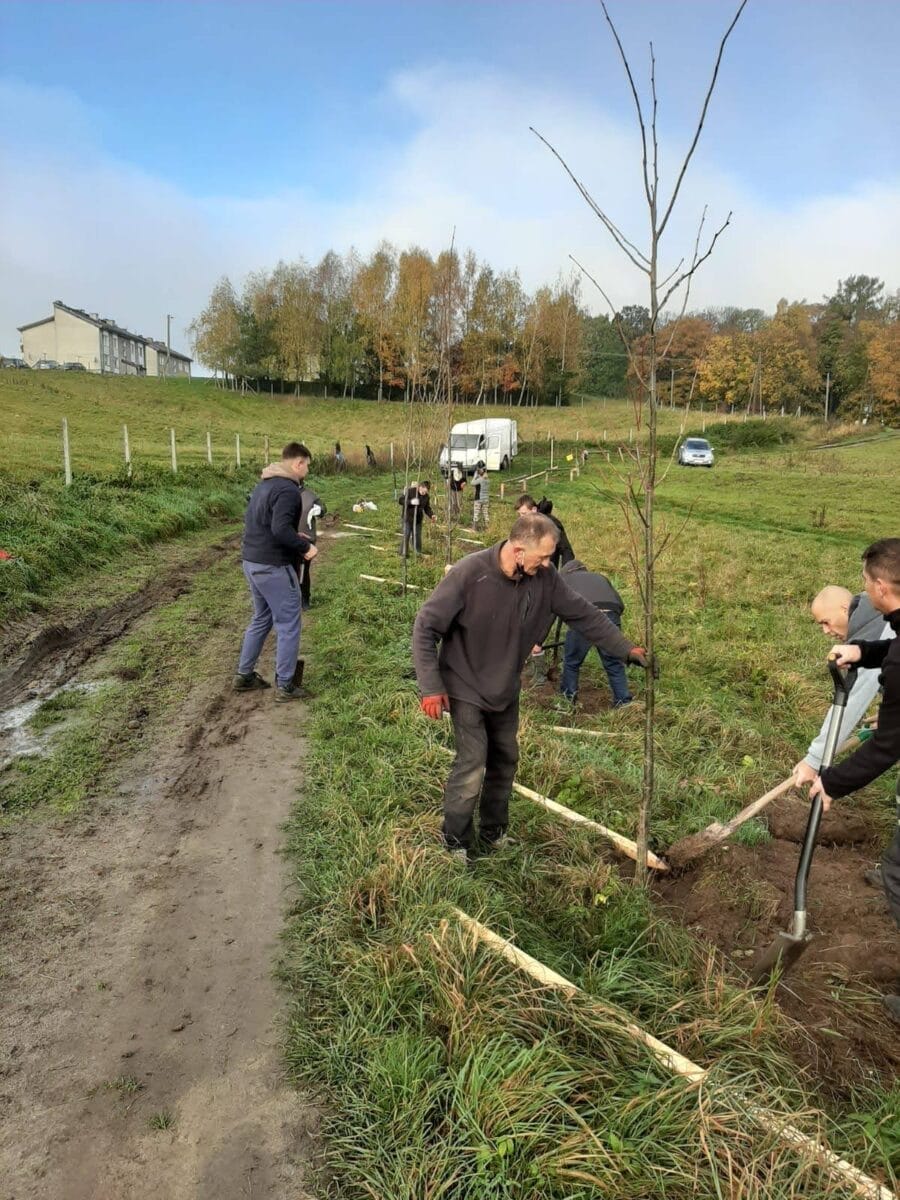 123115084 3302042533178460 6955440433341380704 O