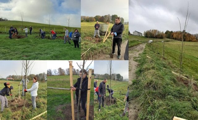 MIESZKAŃCY LICHTAJN POSADZILI 60 DRZEW W POBLIŻU PLAŻY NAD JEZIOREM 43 123254872 3302041696511877 2443668294831389045 osl