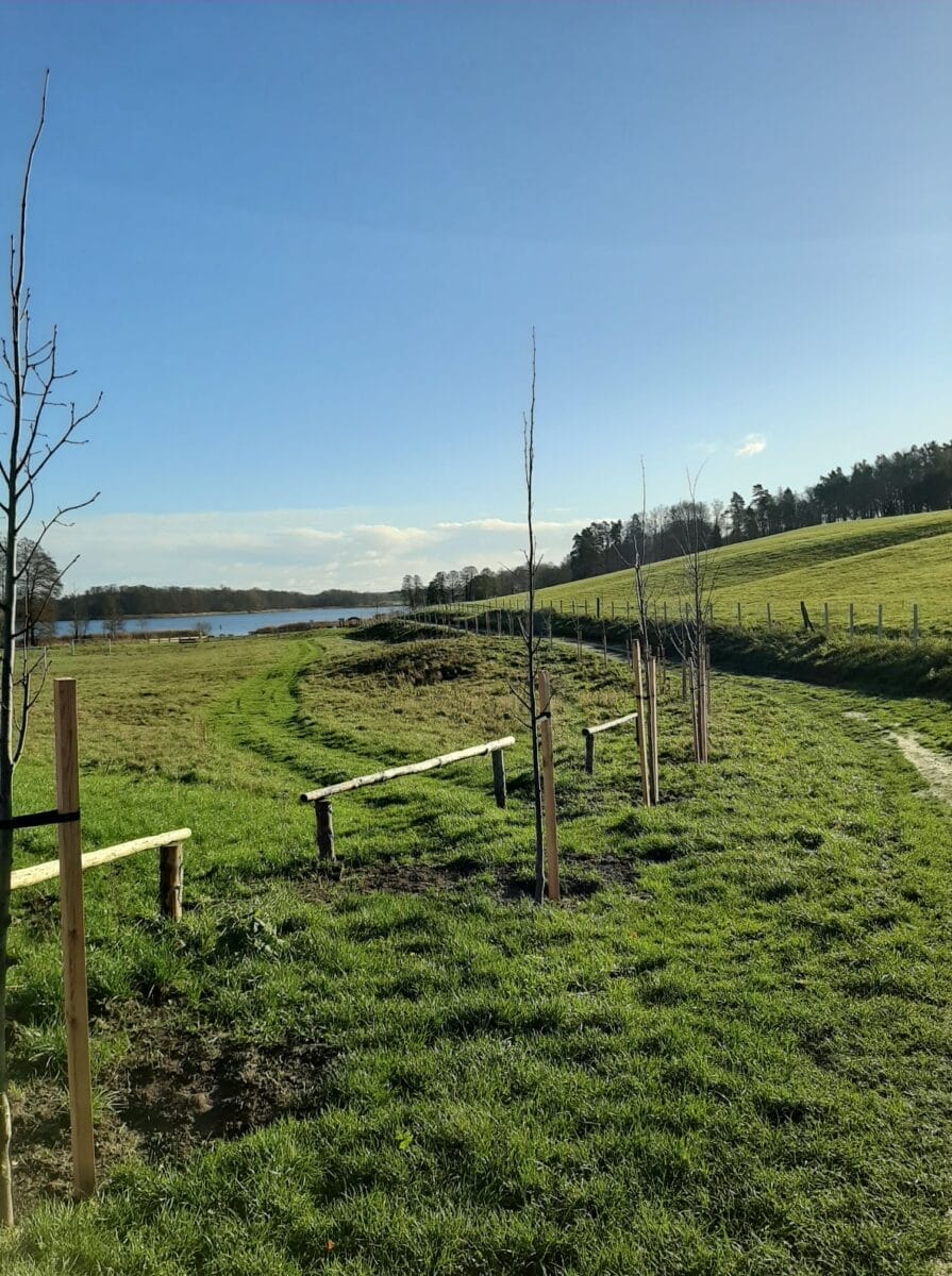 W LICHTAJNACH ZAGOSPODAROWALI TEREN REKREACJI NA JEZIOREM 16 126860500 3356765607706152 2098796007028670493 O