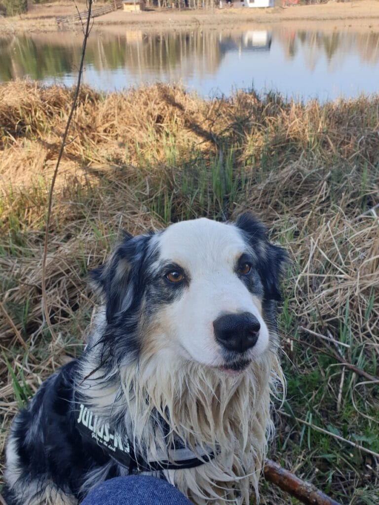 133666294 1117041072088043 5276884985346529642 N