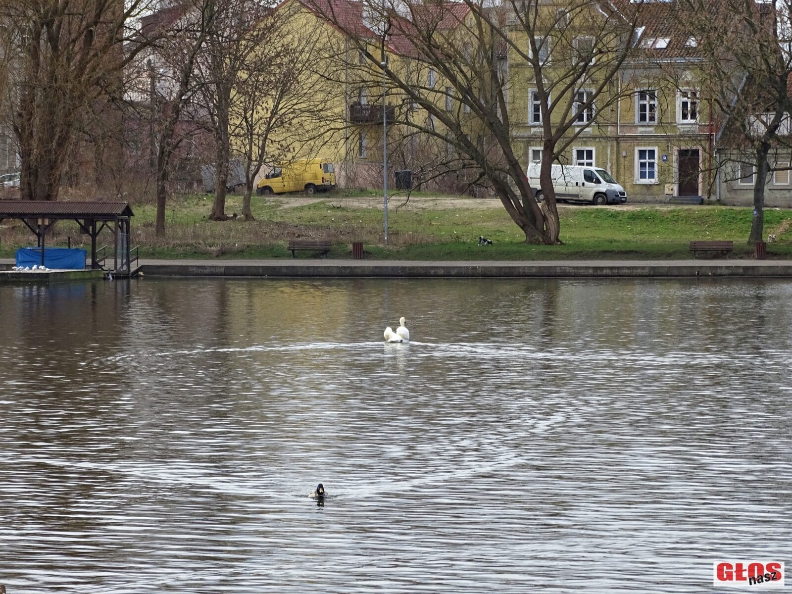 KTO OCZYŚCI W 2021 ROKU JEZIORO DRWĘCKIE W OSTRÓDZIE? 13 DSC08711