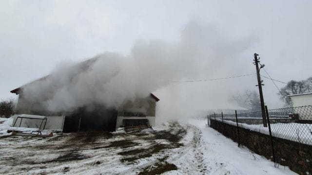 POŻAR KURNIKA W GIERZWAŁDZIE - WIĘCEJ INFORMACJI! STRATY - 200 TYS. ZŁ, ZGINĘŁO 2200 INDYKÓW 7 Img 20210120 Wa0005
