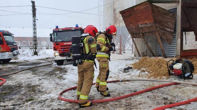 POŻAR KURNIKA W GIERZWAŁDZIE - WIĘCEJ INFORMACJI! STRATY - 200 TYS. ZŁ, ZGINĘŁO 2200 INDYKÓW 8 Img 20210121 Wa0005
