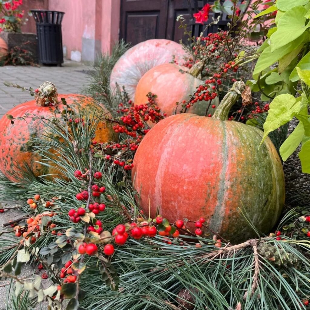 EKO TEMAT. Ile Ostróda powinna wydawać na pielęgnację zieleni? 2 Dekoracje Jesienne Ilawa