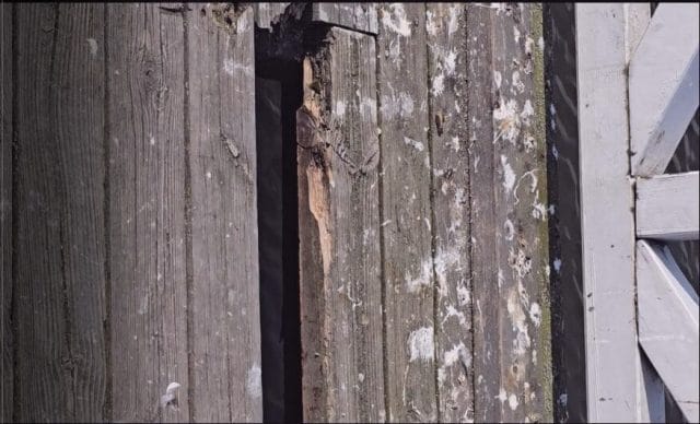 Molo w Ostródzie – ANTYwizytówka miasta 22 Zrzut ekranu 2025 03 29 190633