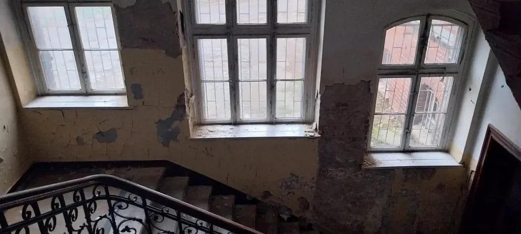 Stary Sad Przed Remontem