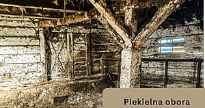 Makabra w Idzbarku. Zwierzęta konały w odchodach. "To nie był rolnik. To był kat." 15 Piekielna Obora 1200 X 630 Px