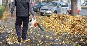 Dmuchawy Do Liści Zakazane W Ostródzie! Co To Oznacza Dla Mieszkańców?