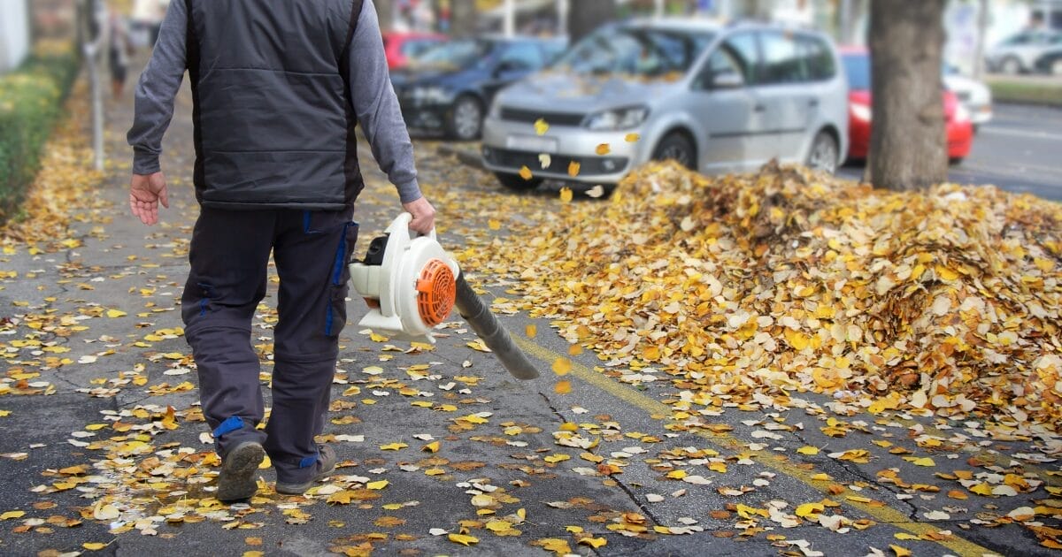 Dmuchawy Do Liści Zakazane W Ostródzie! Co To Oznacza Dla Mieszkańców?