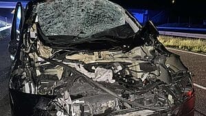 Dwa nocne wypadki na S7. Łosie biegały po drodze! 26 Dwa Wypadki Na Drodze Ekspresowej S7. Powodem Biegające Łosie.