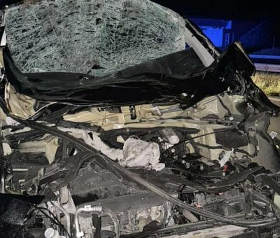 Dwa wypadki na drodze ekspresowej S7. Powodem biegające łosie.