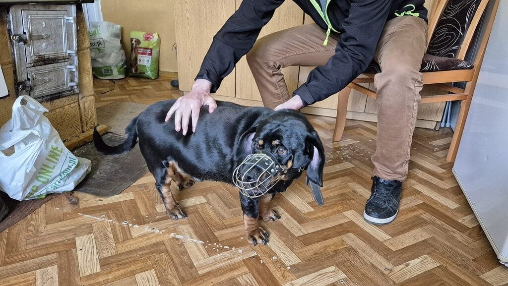 Pani Janina Stanie Przed Sądem. Wracamy Do Bulwersującej Sprawy