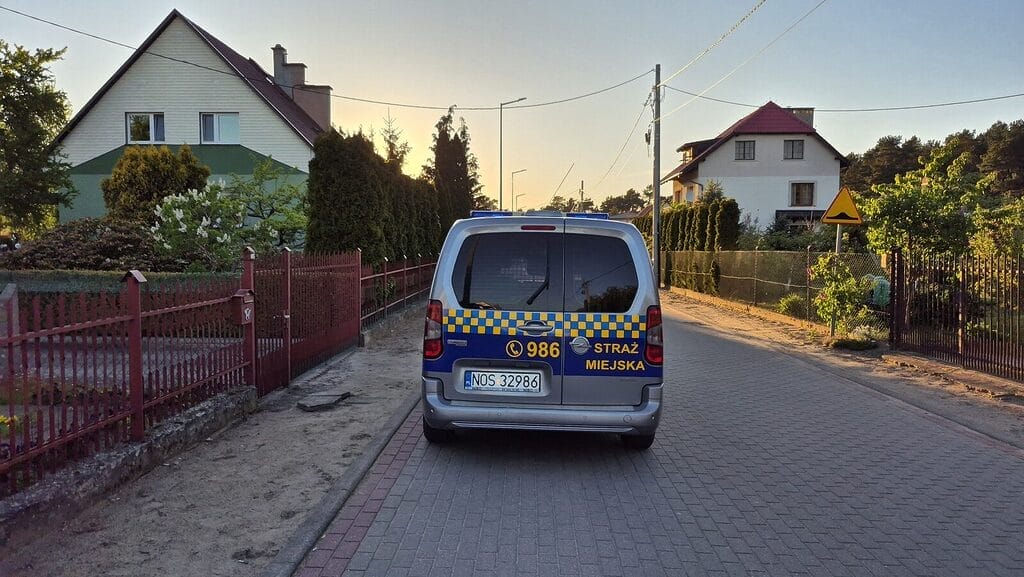 Kociaki są już razem - interweniowała straż miejska