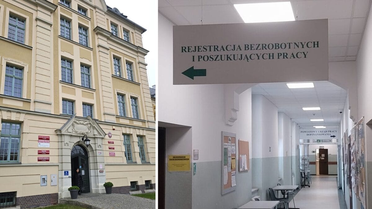 Oferty Pracy W Ostródzie