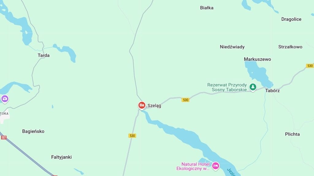 Wypadek na drodze wojewódzkiej 530. Osobówka uderzyła w drzewo w Szelągu. 14 Wypadek Na Drodze Wojewódzkiej 530. Służby Interweniują W Miejscowości Szeląg.