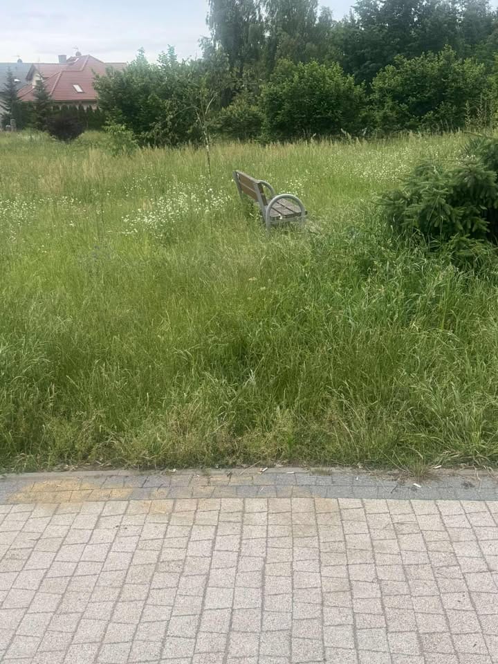 To nie Ogród Różany. Czyli o tym, jak dbamy o to, co mamy 12 Strefa Aktywności Ulica Ćwiklińska