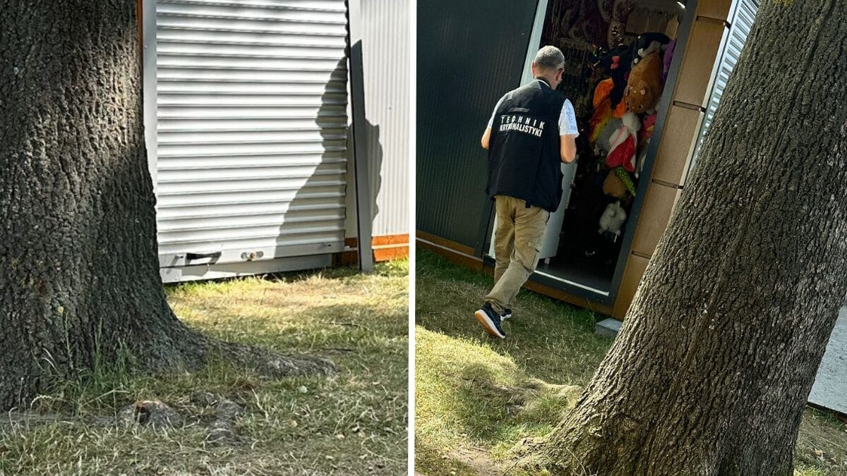 Włamywacz Z Bulwaru