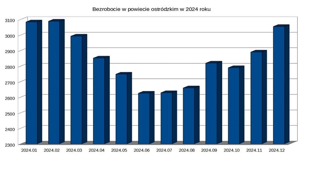Bezrobocie W Powiecie Ostródzkim W 2024 Roku.