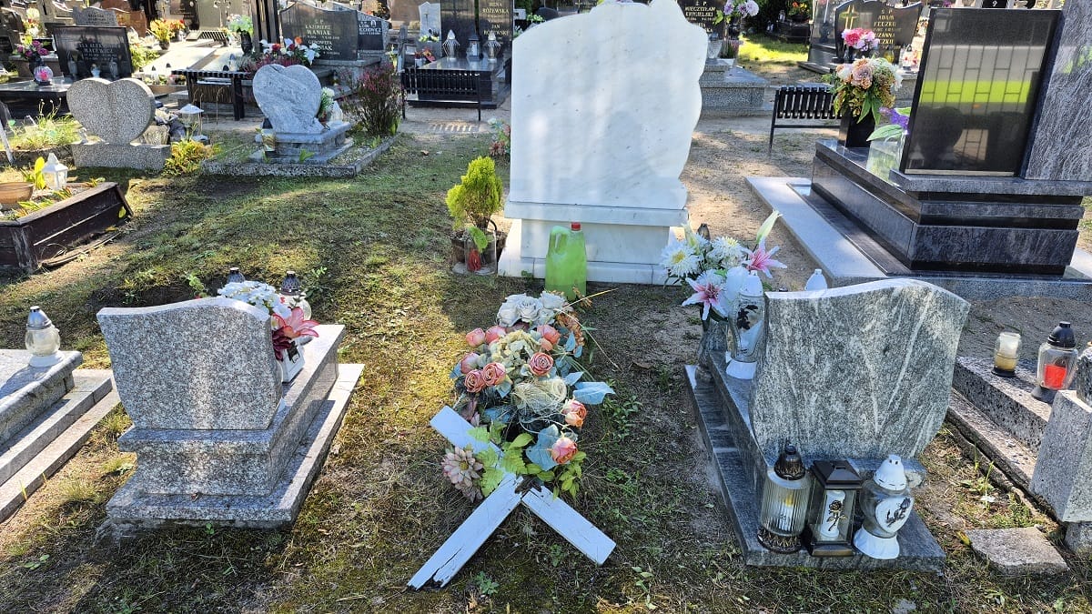 Wyszukiwarka Zmarłych. Nie Stać Nas Na Grobonet!