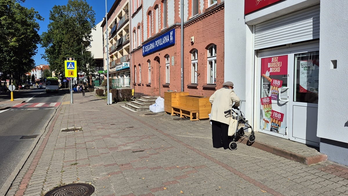 Ogród Deszczowy W Ostródzie. Ekipa Z Bagien Zbudowała Prototyp!
