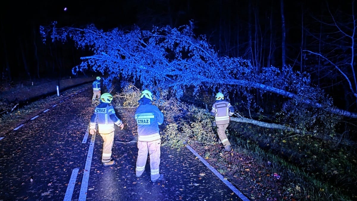 Wichura w powiecie ostródzkim - strażacy mieli pracowitą noc 15 Wichura w powiecie ostródzkim - strażacy mieli pracowitą noc