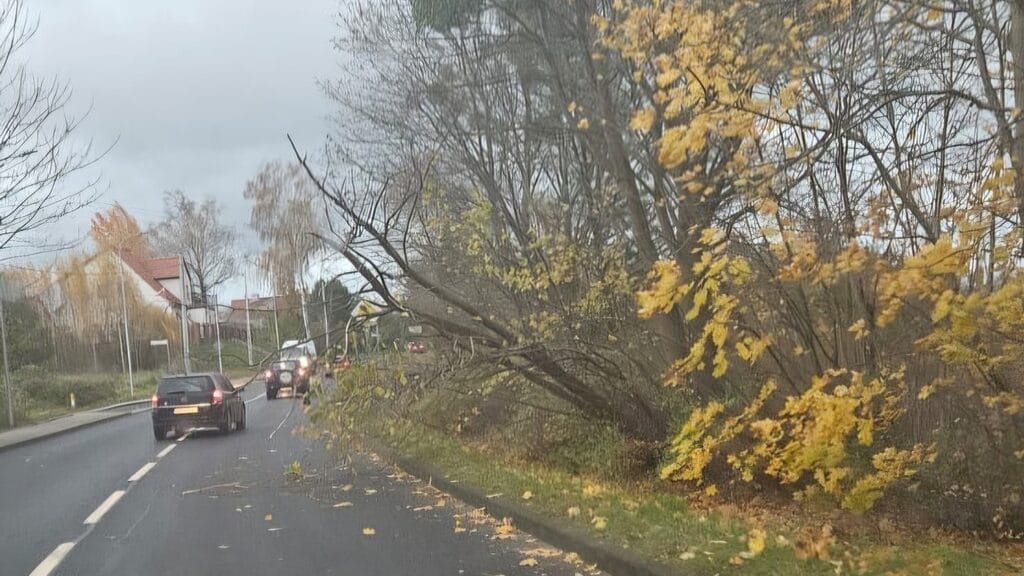 Wichura w powiecie ostródzkim - strażacy mieli pracowitą noc 2 Wichura W Powiecie Ostródzkim - Strażacy Mieli Pracowitą Noc