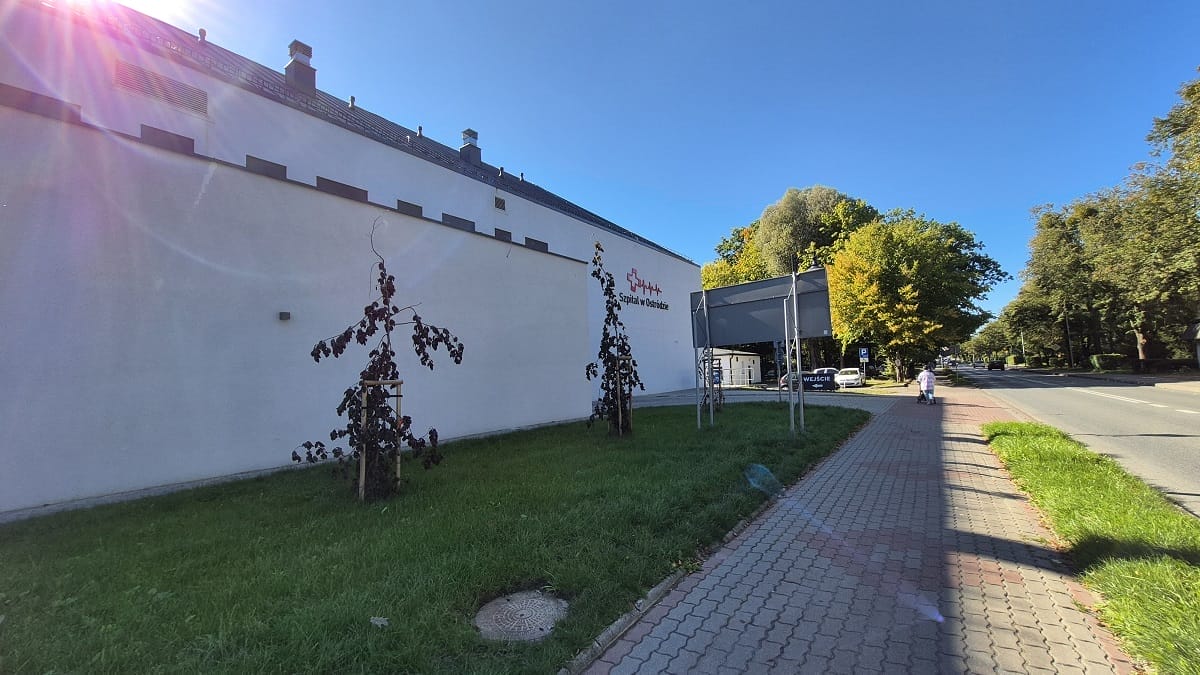 Poznaj Ich Bliżej - Poradnia Urologiczna Szpitala W Ostródzie